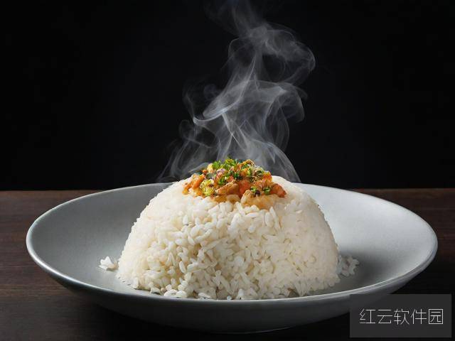 隐秘的仪式,饭冈か与当代数字隐私的困局