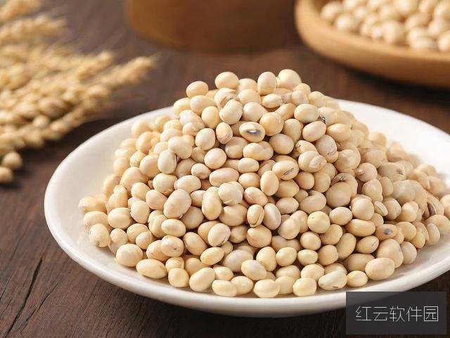 探索91久久精品一区二区三区豆花免费跳转入口官网，全面解析与使用指南